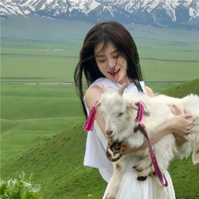 新死亡游戏